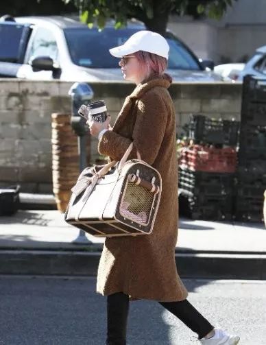 高档宠物碗,名媛宠物临潼店