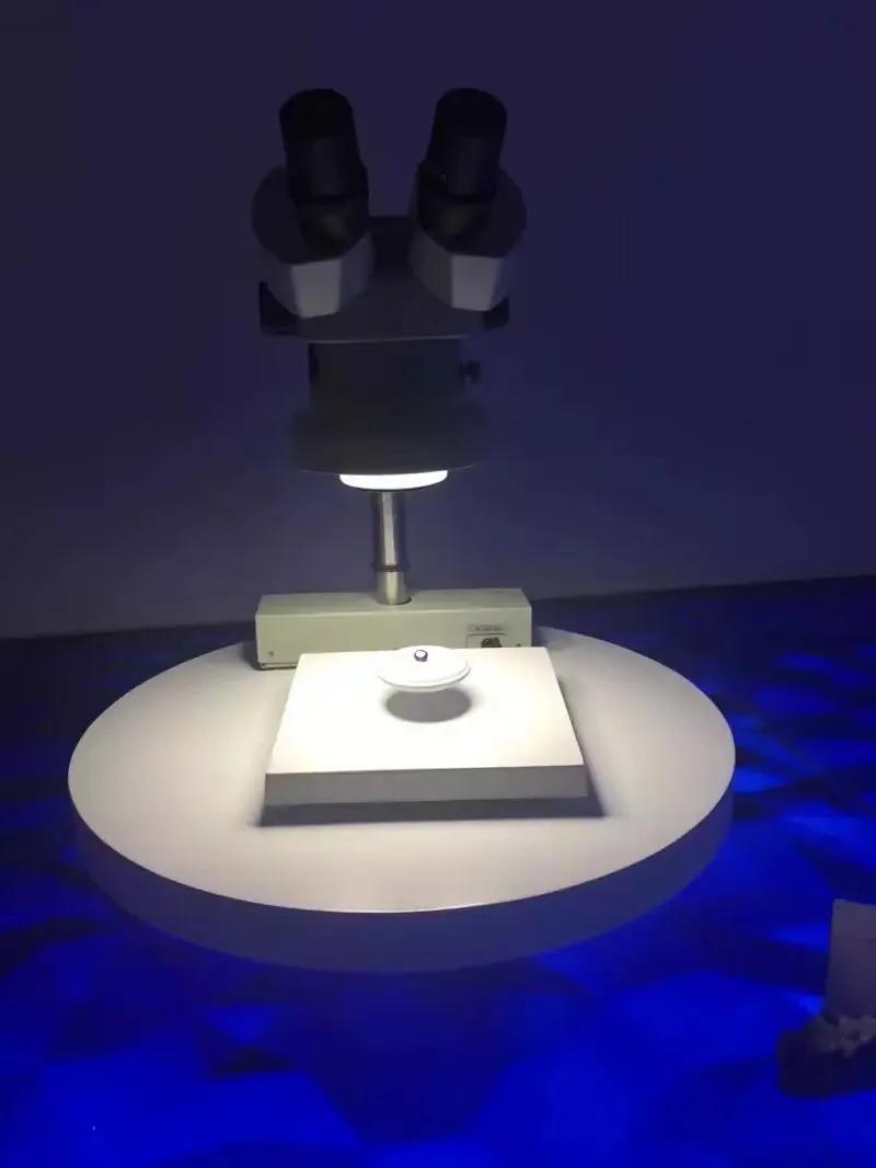 在普吉岛旅游的一天,普吉岛最后一天购物