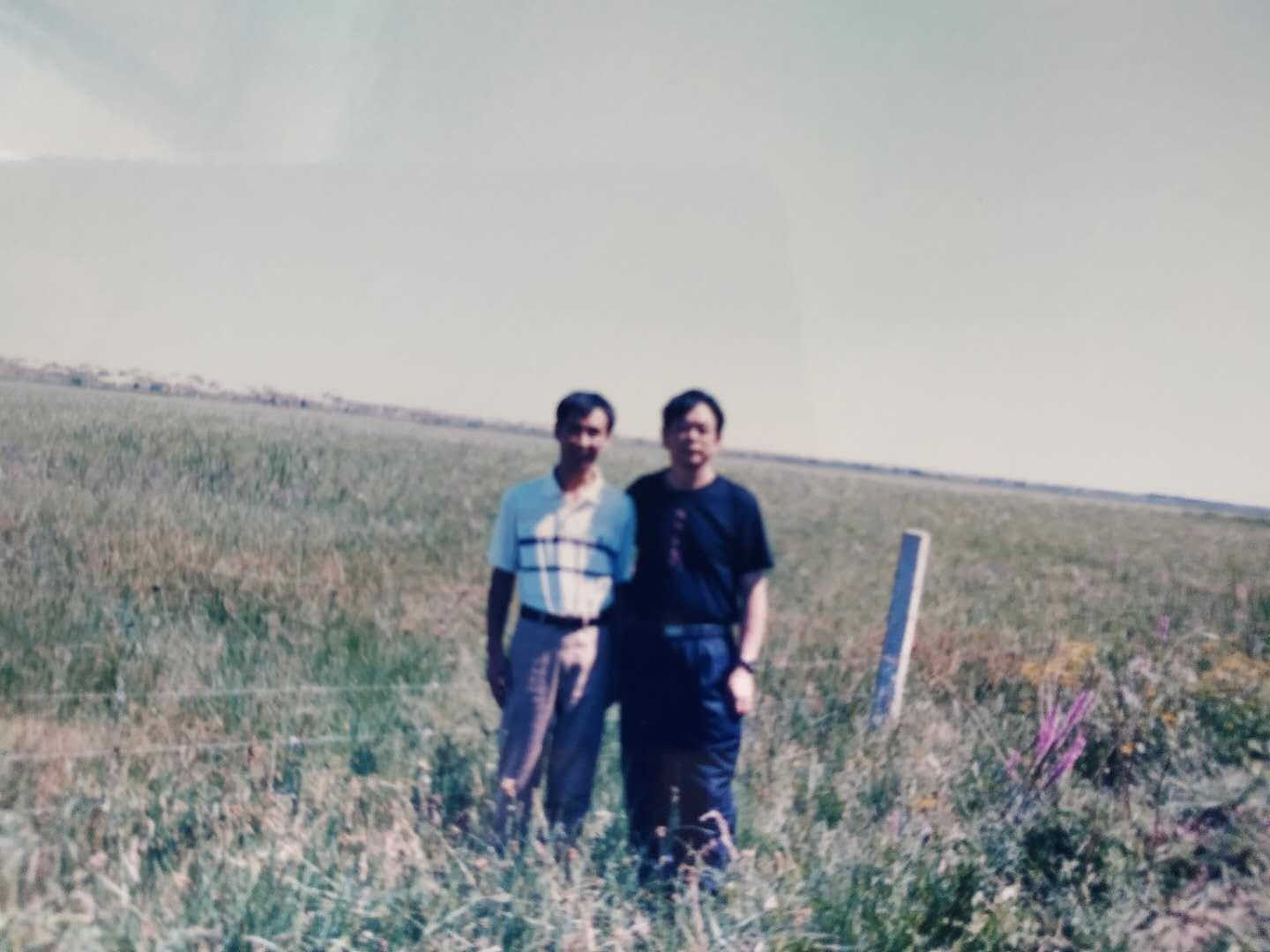 阿古拉草原和科尔沁哪个好,阿古拉属于科尔沁草原吗