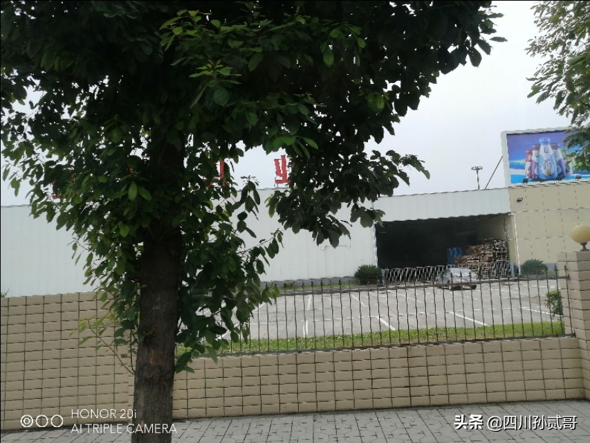 雪宝奶牛场,参观雪兰牛奶工厂心得体会