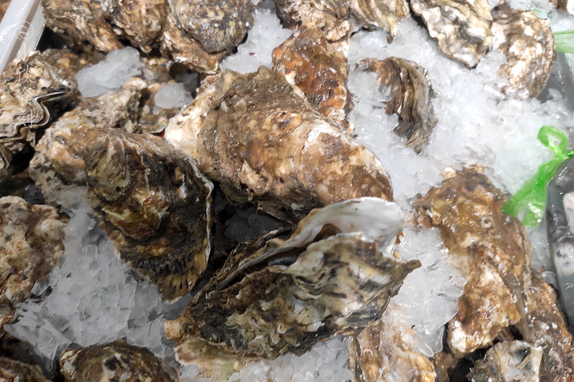 超市袋装生蚝肉为什么便宜,超市十几块一箱的生蚝