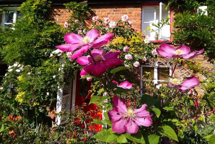 伦敦六月小说,六月的伦敦什么季节