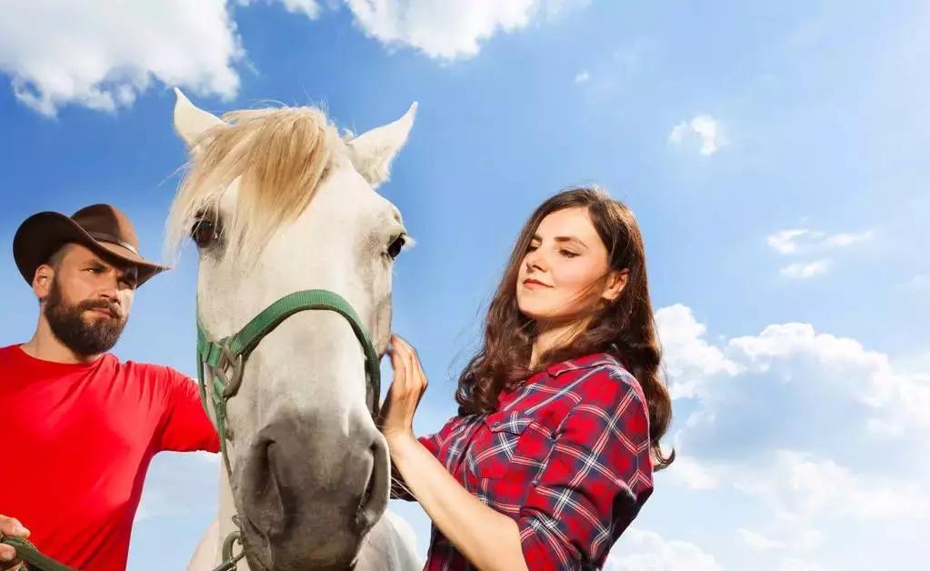 属相婚配表可信吗,属相婚配表大全