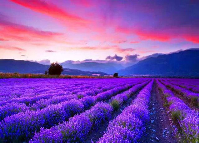 秋季护发当务之急，想有空气感秀发，就用赵丽颖代言的欧舒丹