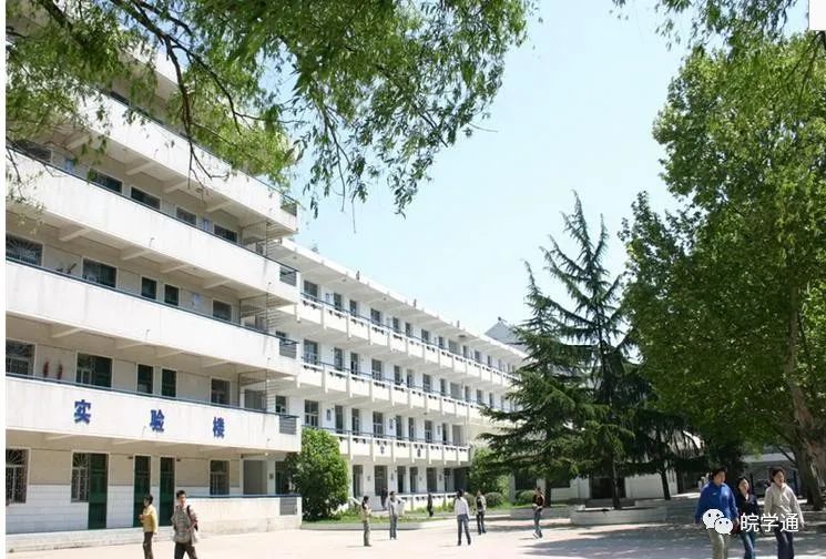 科大附中在合肥市排名,合肥科大附中和工大附中哪个好