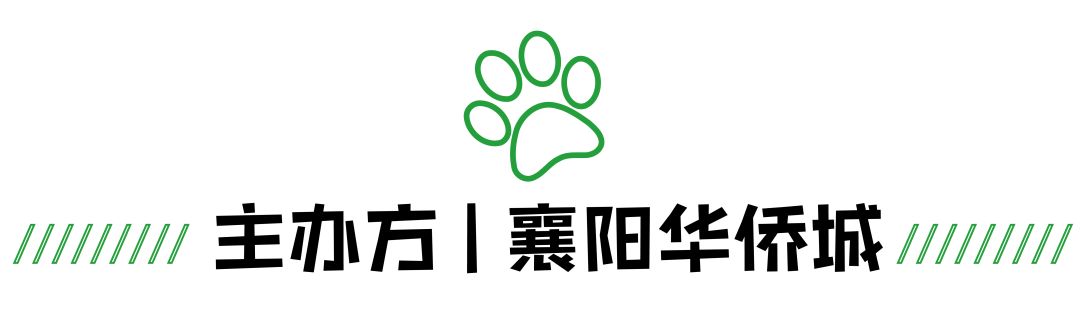 襄阳周末好去处,周末去哪里找乐趣