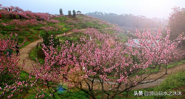永川吃喝攻略旅游景点,永川旅游攻略推荐