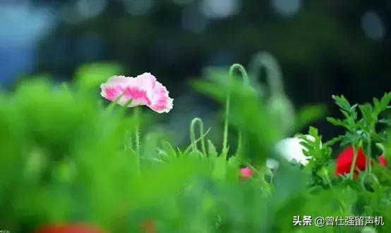 想要成为优秀的人要具备什么,怎样才能成为最有价值的人