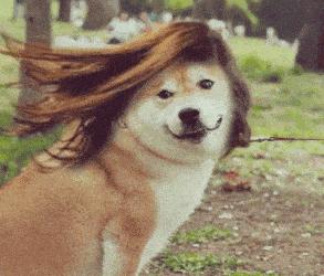 推荐洗发水控油蓬松拯救发际线,防脱发保湿洗发水推荐