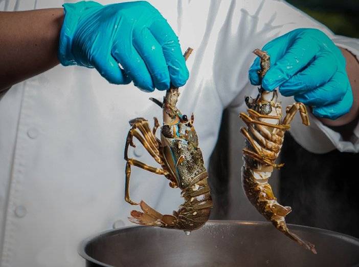 贵阳酒店新世界,贵阳顶级五星酒店