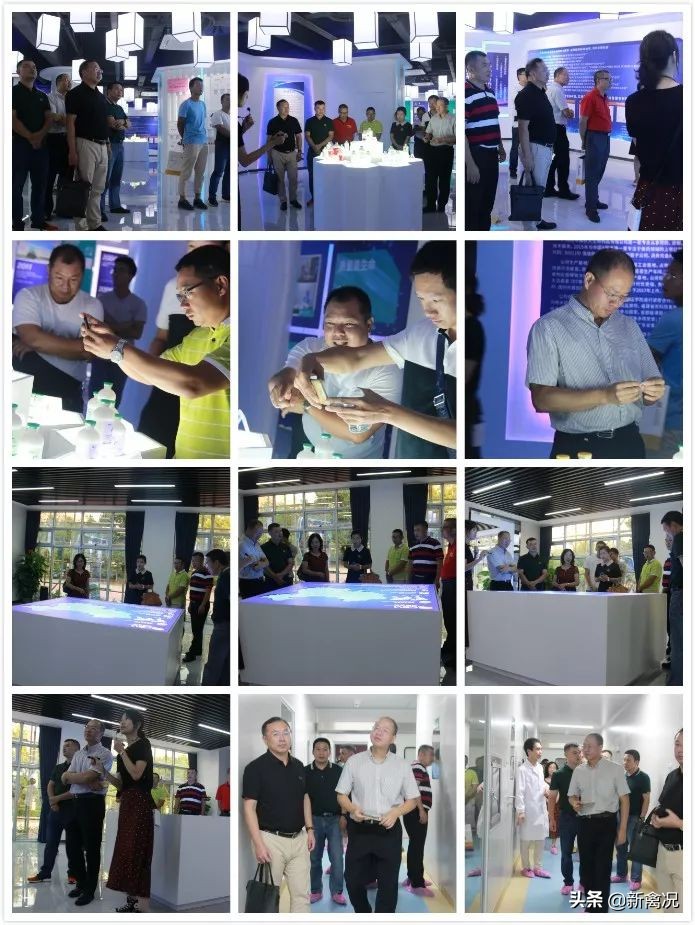 中国养殖鹅现状分析,全国养殖鸭鹅