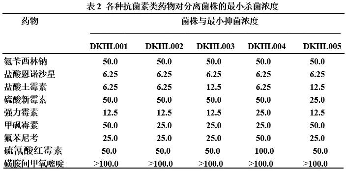 加州鲈苗期的病害,加州鲈鱼病害防治法