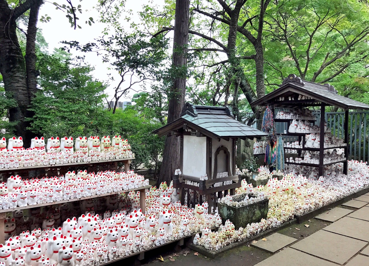 日本招财猫与中国招财猫,招财猫不爱游怎么回事