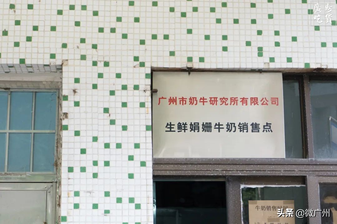 广州市奶牛研究所几点过去买牛奶,广州白云山奶牛研究所