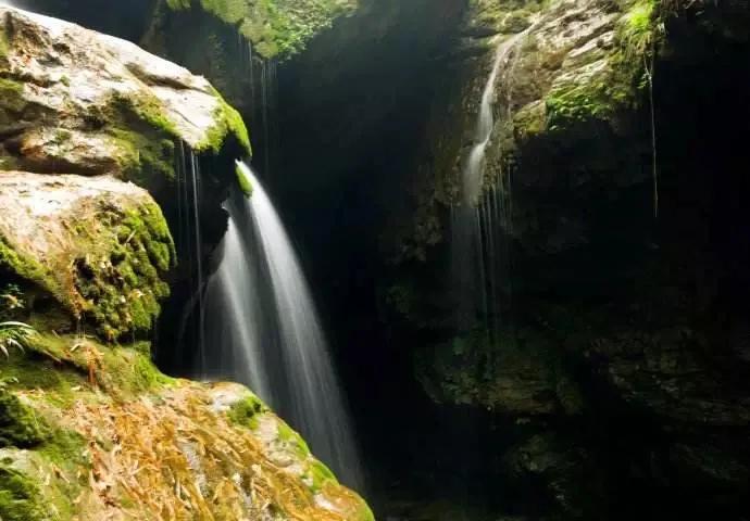 针灸探秘全集,致命穴位针灸