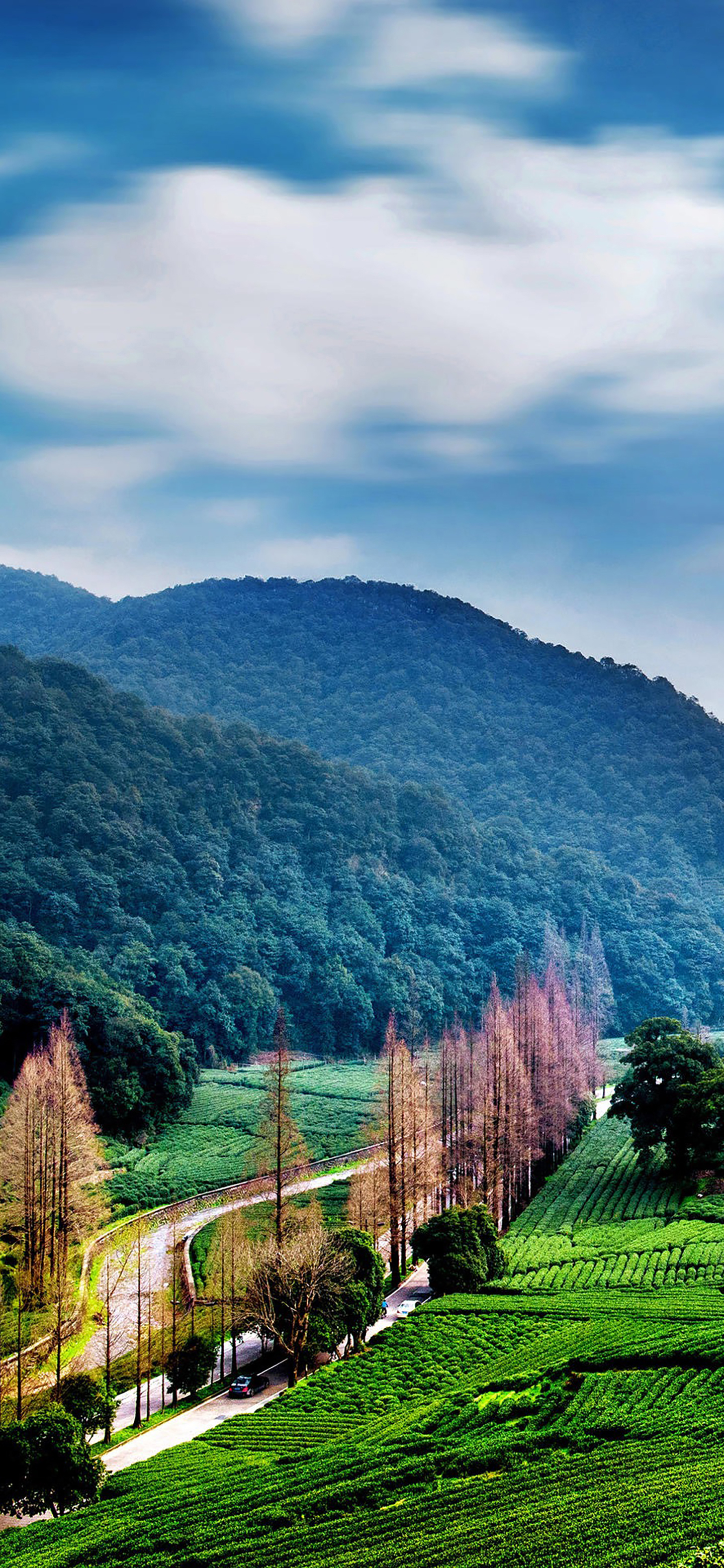 壁纸高清风景,精选风景壁纸看完都是一种享受