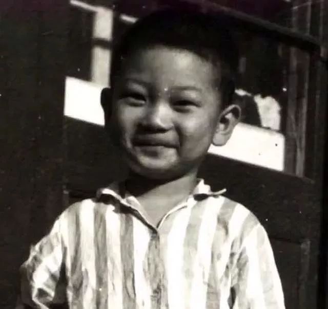 汤唯前男友姜文,汤唯与章子怡电影