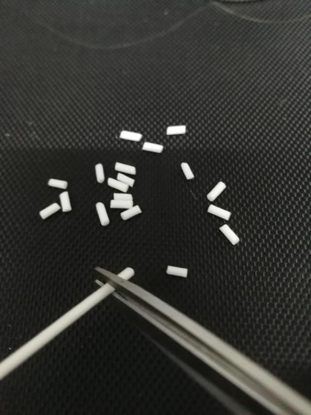 钓鱼专钓小鱼,世界钓鱼之旅钓大鱼