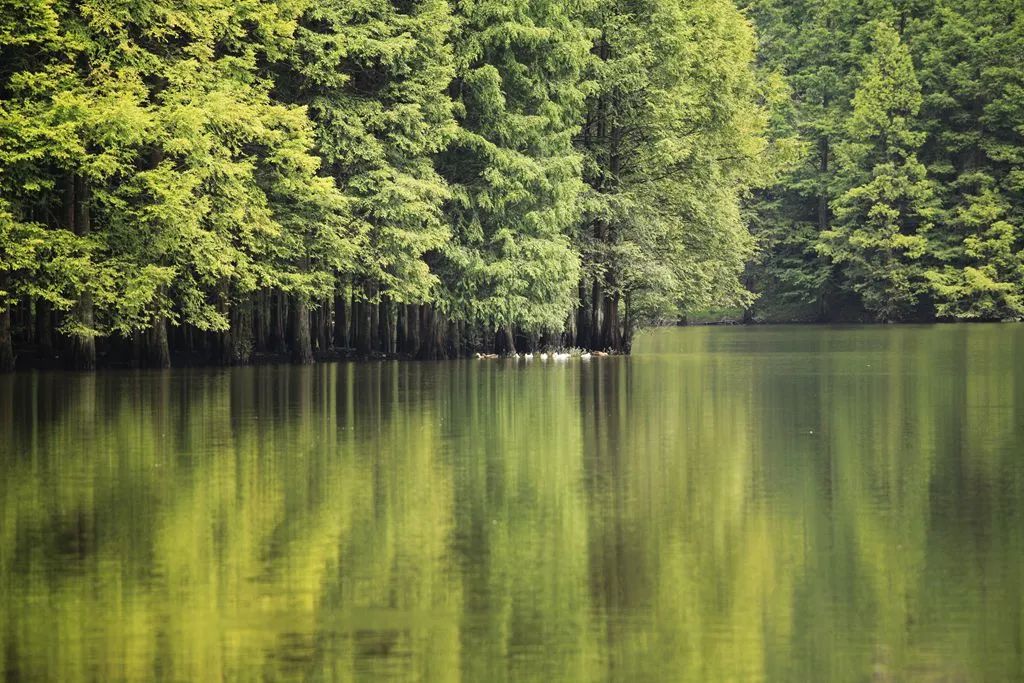 汉中龙池湖攻略,汉中龙池湖简介