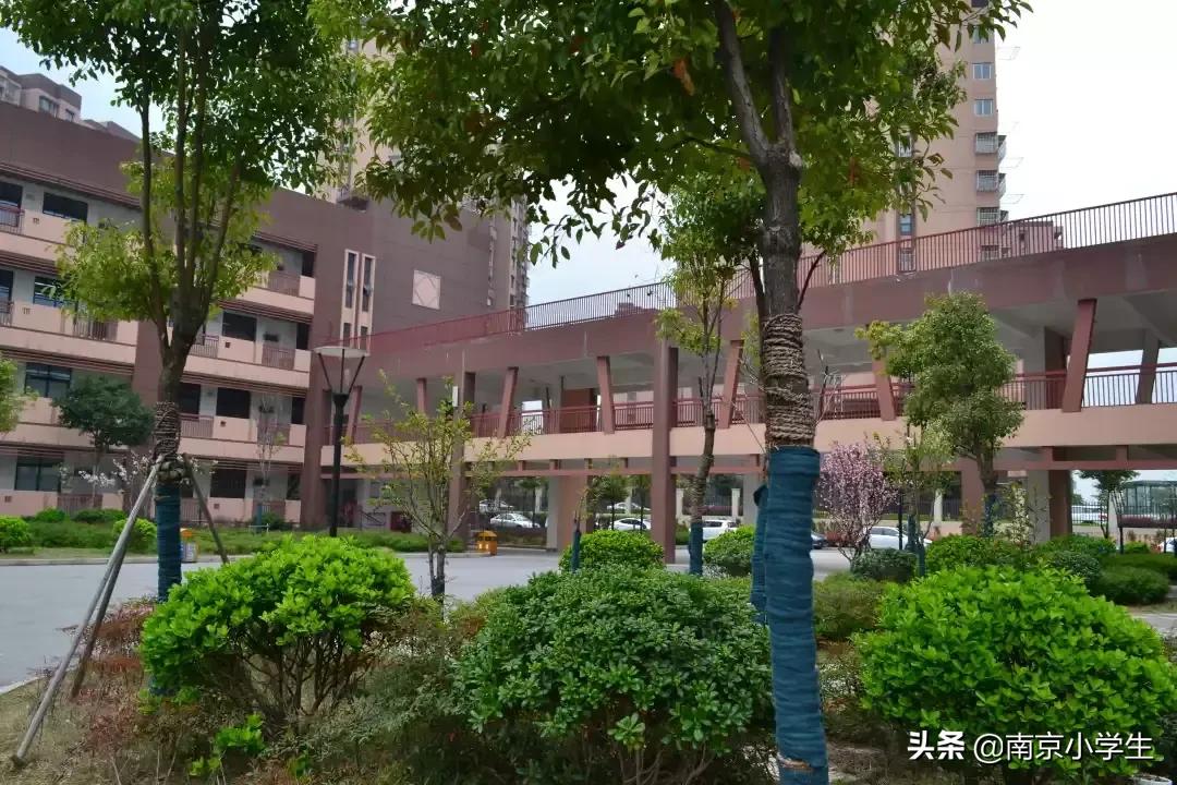春和景明少年时,古雄小学2021年新生