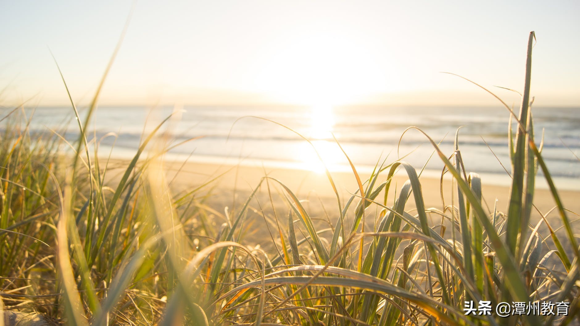 知乎上102个高赞回答，网友直呼：经典！第5条绝了