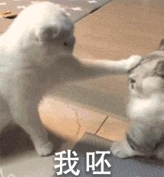 半佛仙人到底有多有钱,半佛仙人有多厉害