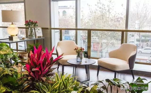 打卡浪漫约会地郑州游玩,郑州适合小情侣的约会圣地