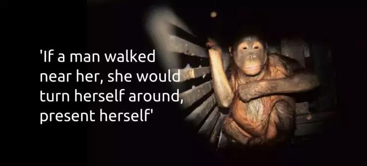 她被非人囚禁6年做*奴性**，每天擦口红喷香水……人性有罪恶极限吗？