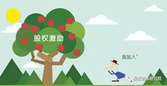 原始股配售股权期权哪个好,期权股和原始股哪个值钱