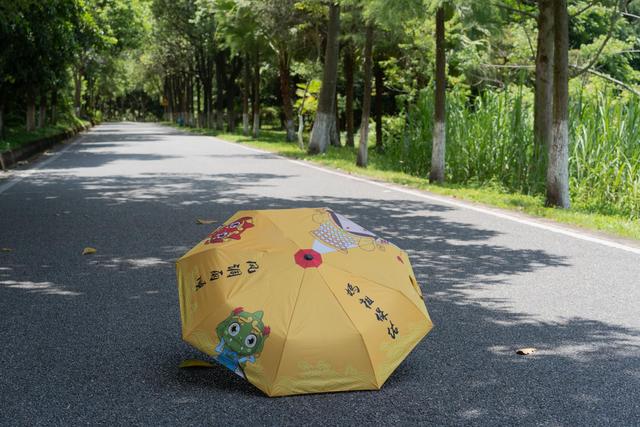 南沙黄山鲁森林公园夏季,南沙黄山鲁国家森林公园游玩攻略