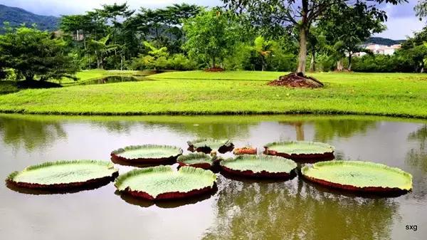 西双版纳旅游攻略旅行地点推荐,西双版纳旅游攻略最新详细