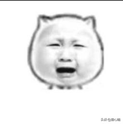 海淘攻略完整版,海淘购物攻略小白教程