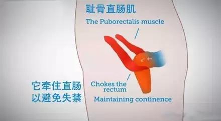 中国人这个“种族天赋”，让美国老奶奶大赚一个亿