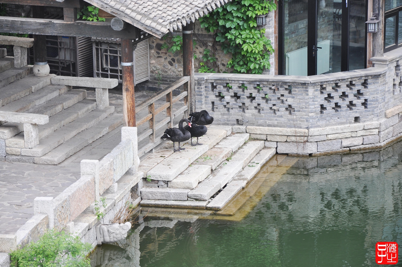 邂逅京畿之地的古北水镇,古镇北京古北水镇