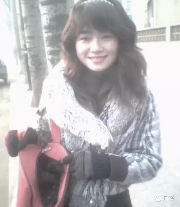 宠物去世你还会再养一只吗,狗狗病死还想再养一只