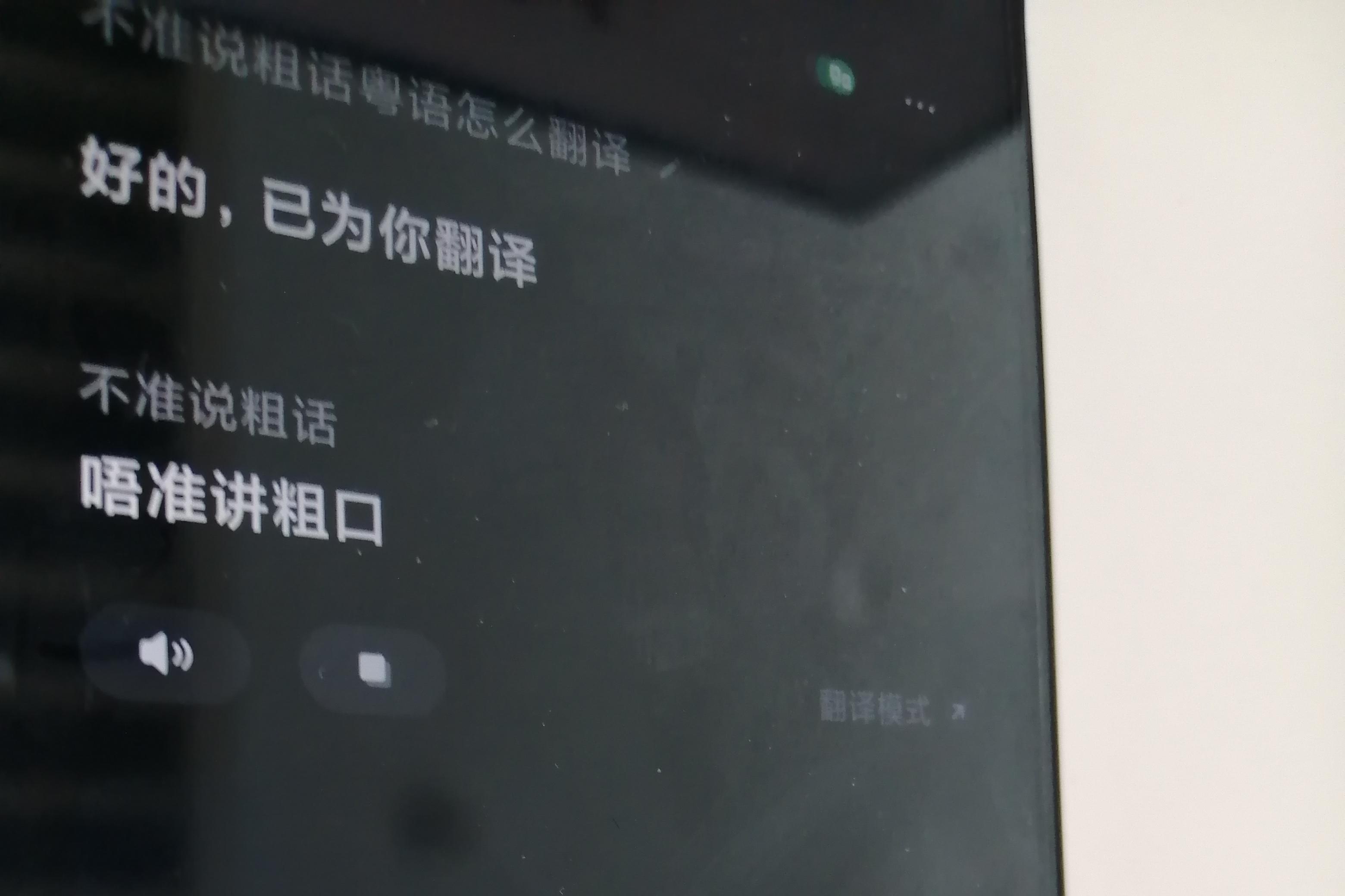 喜提“语言专家”，小米手机竟会说粤语，米粉：广东人专属福利？