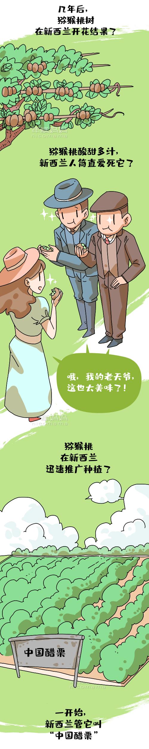 宝宝便秘吃什么润肠通便的水果,宝宝可以吃的润肠通便的水果