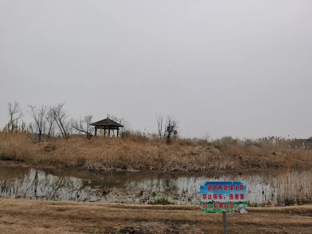 绿城房子的八大逆天细节,你买的房子