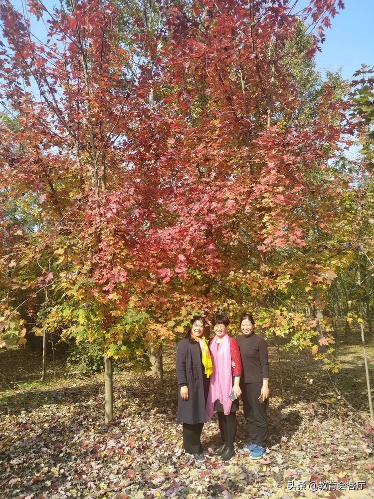 金秋旅游视频模板,国庆郯国古城游玩攻略