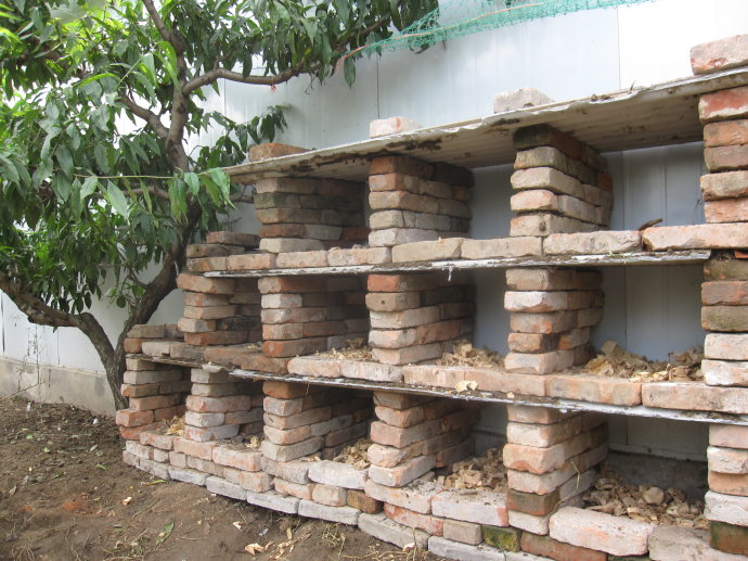 散养100只土鸡下蛋后怎么做不吵,10只散养土鸡下蛋时需要几个窝