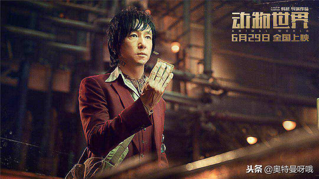 动物世界的伏笔,动物世界蕴藏的人生哲理