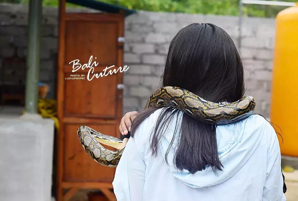 999玩转巴厘究竟嗨不嗨：香遇巴厘，南太平洋的风与海