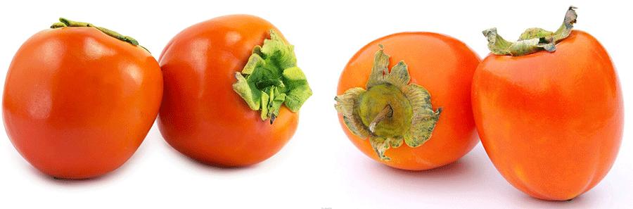 儿童水墨画篮子里的柿子,儿童绘画一篮子柿子作品