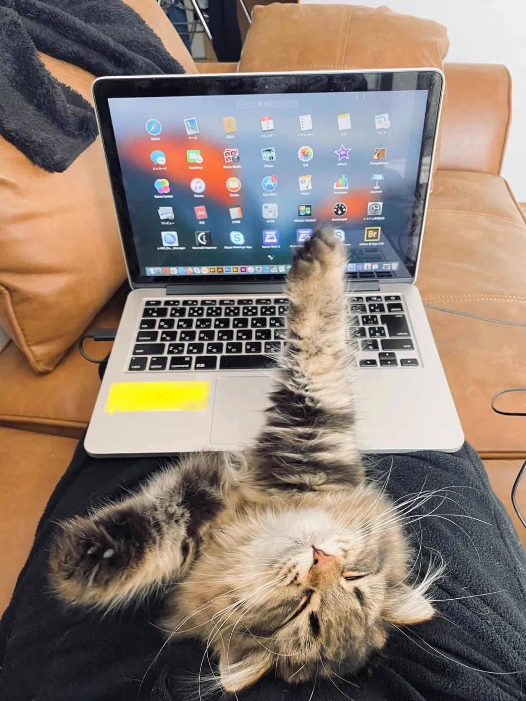 图集|这些厕所，我是不会上的