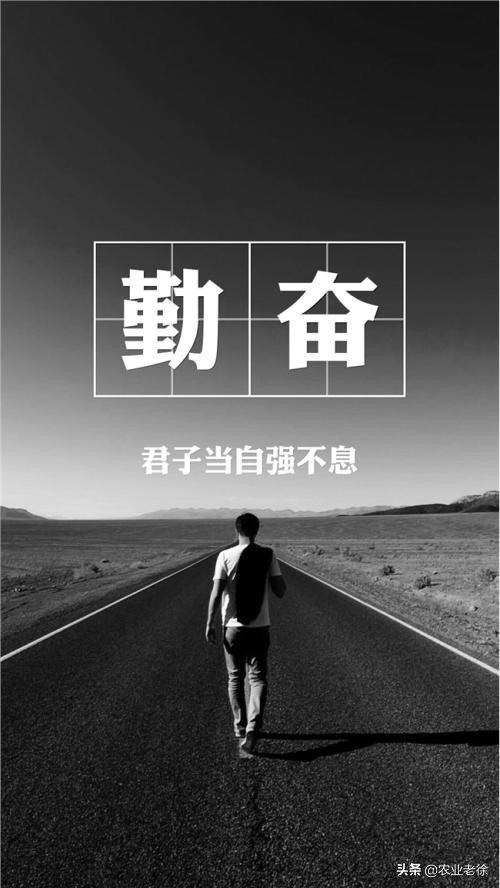 经销商怎么做自己的品牌,经销商要做大品牌还是小品牌