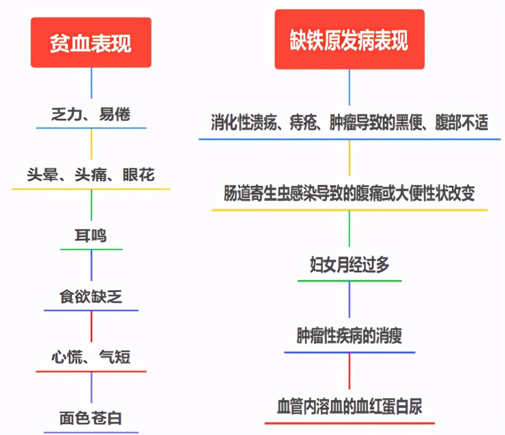 关于缺铁性贫血的科普小知识,小儿缺铁性贫血科普动画