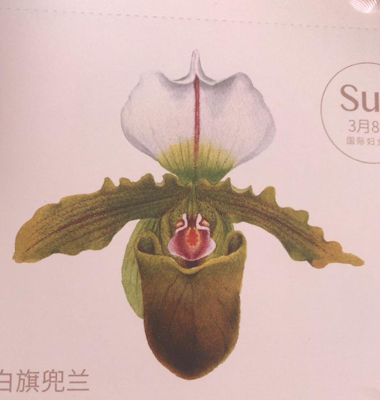 刘慈欣在三体里提到的书,三体作者刘慈欣说世界只剩三年了