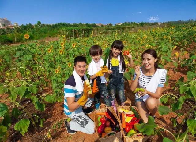 中国养生硒谷温泉度假小镇,欢喜岭湿地温泉养生度假小镇