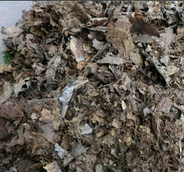 教爱养花的你如何自制营养土,养花自制营养土制作简单肥力更好