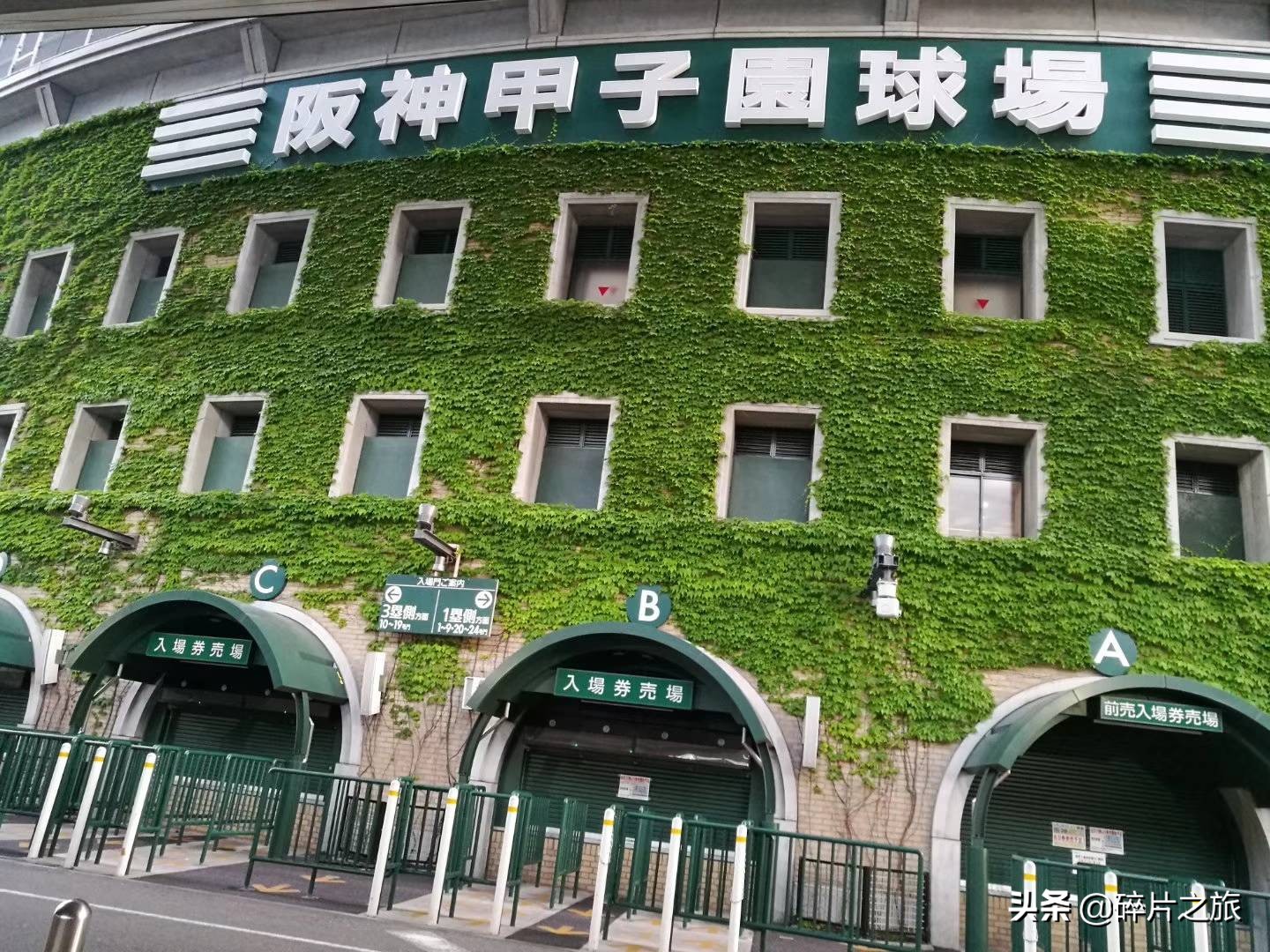 上海游轮去日本攻略,上海去日本的邮轮旅游攻略